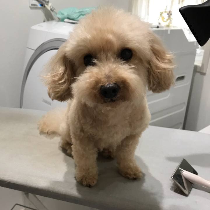 1658f74f 97fe 4daf 889e 174ada99857f 1540690784840