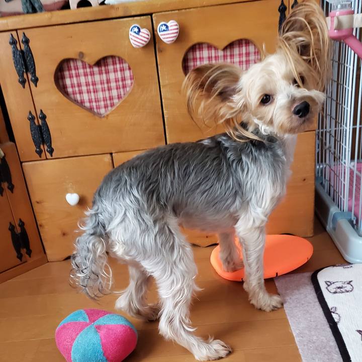 16591bdd b7be 4313 a762 07311eea077b 1567155598839