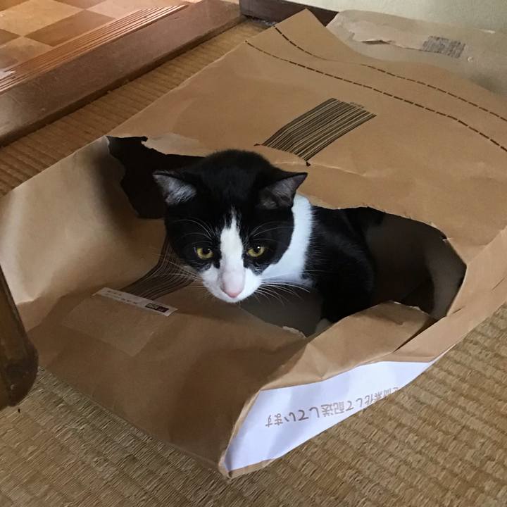 165949a7 3e7b 4707 92f2 79d150bfdb8e 1653370621688