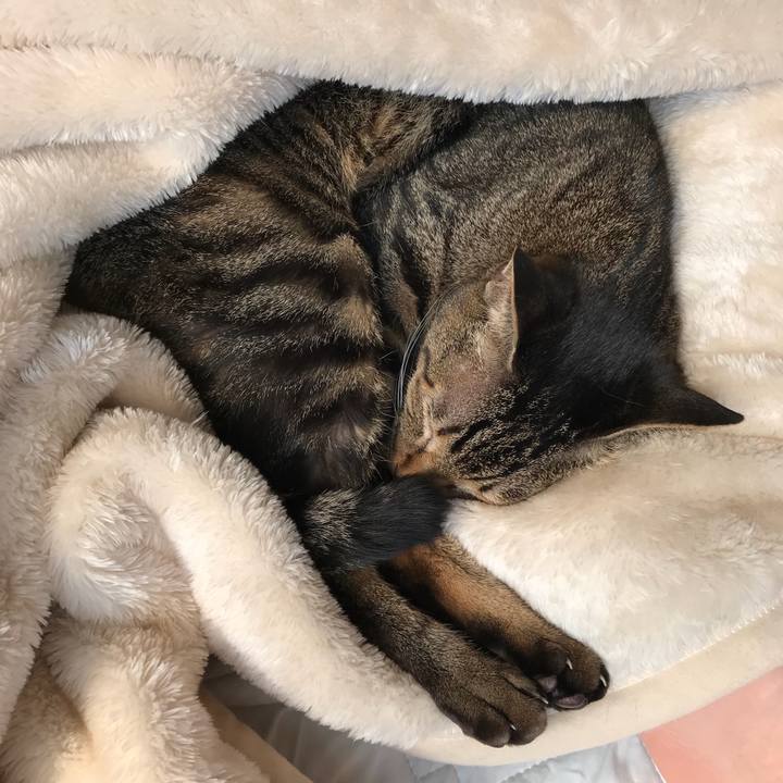 16595903 1177 4fc3 bda6 be3dd004c053 1523582801938