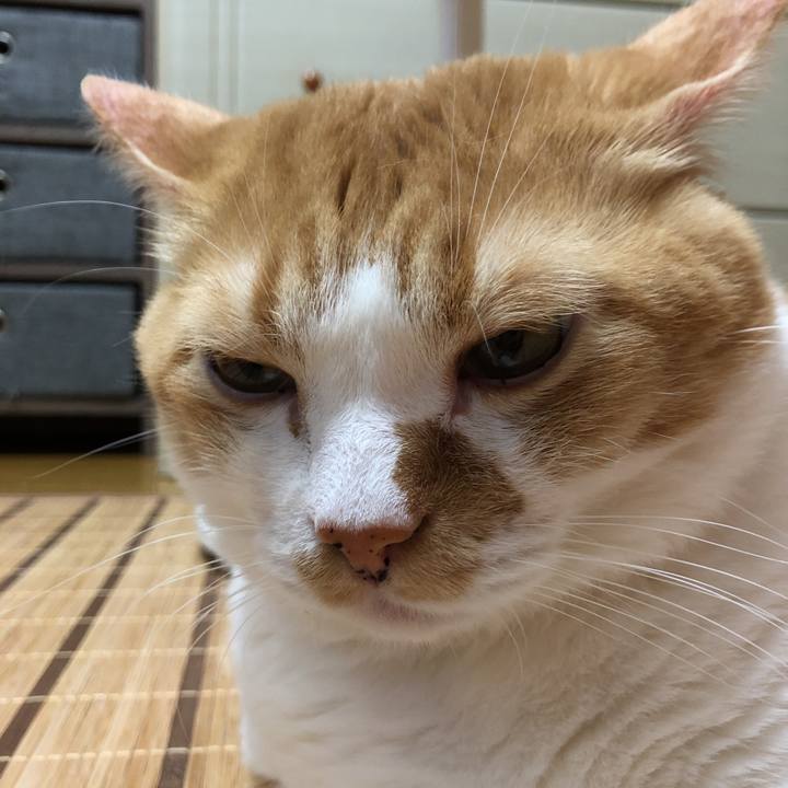 165983e5 8614 4e0d 9890 545376d95e49 1564840659649