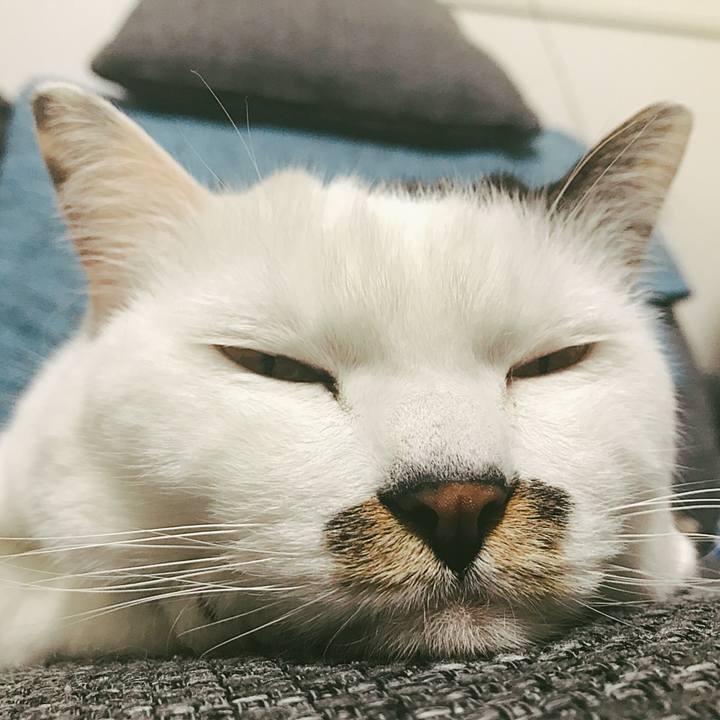 16599a70 b2d3 4ae0 9bb0 962e1f088ffa 1525143785998