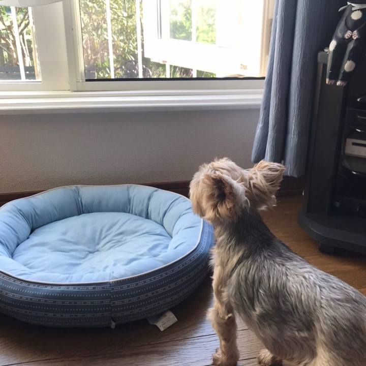 16599f81 1947 4b77 926b 03b5630a8e38 1599730740264