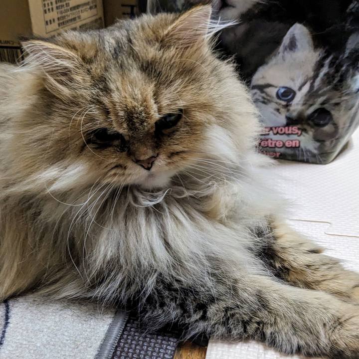 1659dcaa f582 480d affe b3e6e677f47e 1701266717536