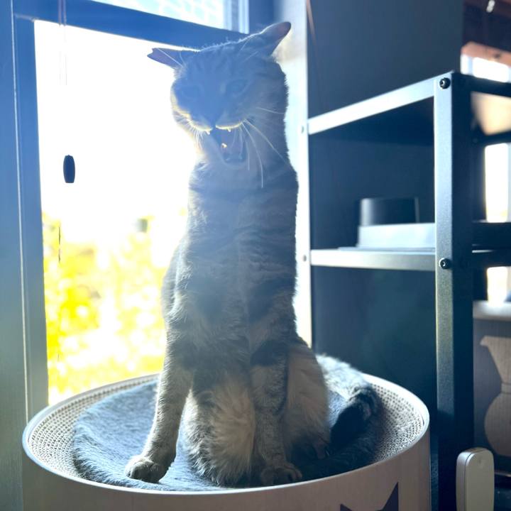 1659e381 ef6d 4896 b4ea 78c1fe52d351 1761660967758