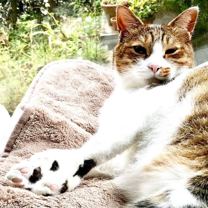 1659eb90 80c2 4587 9f5e a1384a7c4ff3 1540434727256