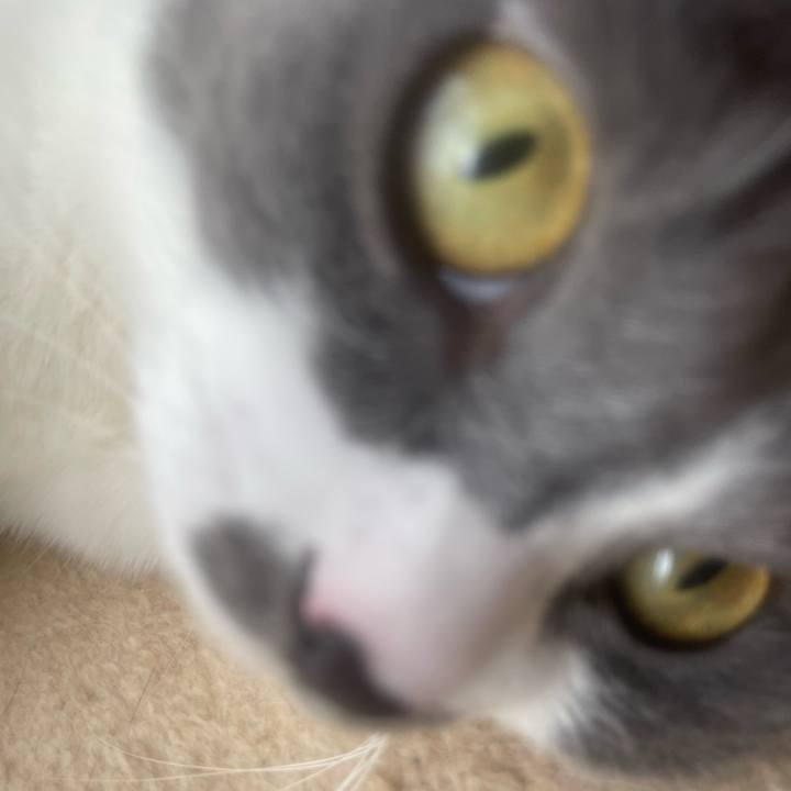 165a6087 ae29 4150 9971 80f11fca733c 1758844095087