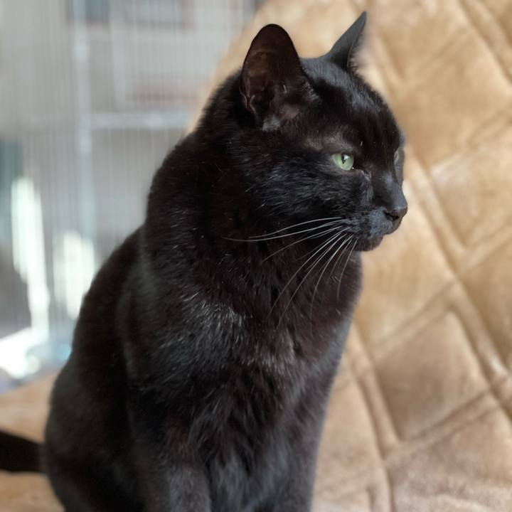 165aaa77 0ac3 4c1f 8ba1 8d2cafd3d293 1646792130322