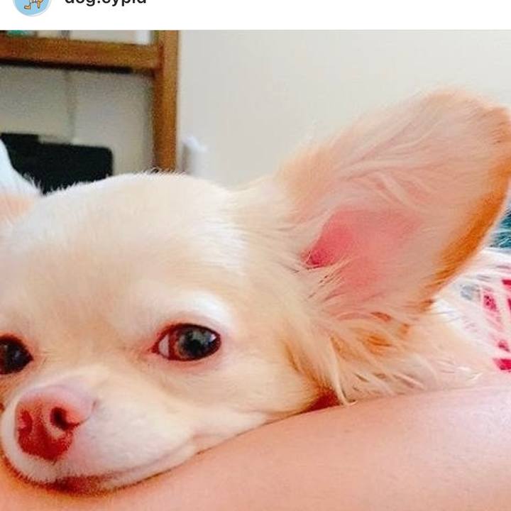 165aaeb7 332e 45ed 8862 6553fc237cee 1640241951108