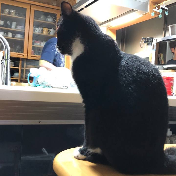 165add90 7f79 4566 a698 96eafaf620f3 1524714892694