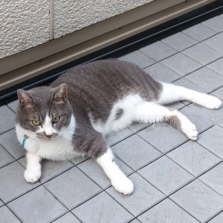 165ae17f 7bfc 4f26 ab27 b00a1c7f9bee 1724020000354