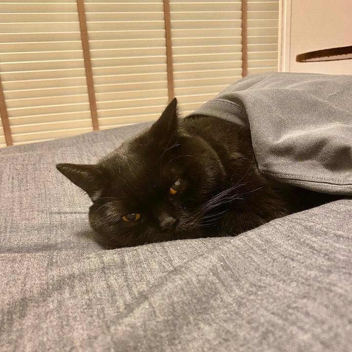 165ae439 8768 4c6d bd39 70b9f1b1602f 1708852147190