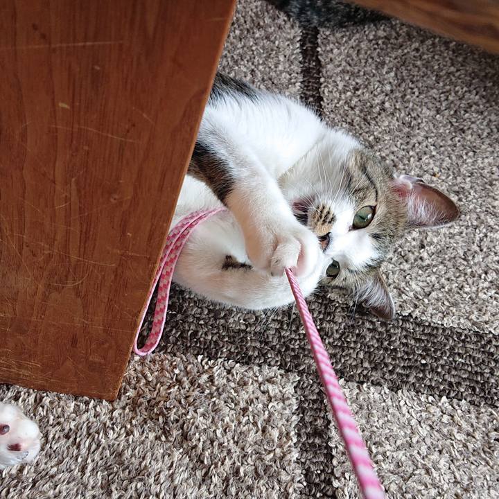 165b0bd8 1a7b 46eb ad9e 9db9b651320f 1584762400897