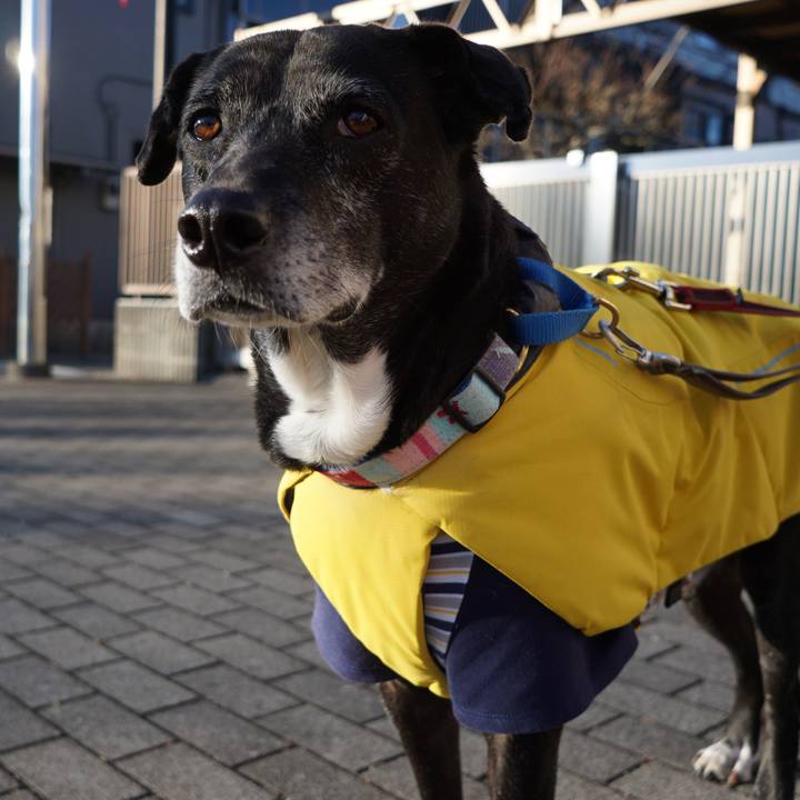 165b1775 b685 4576 8777 ee319d485c91 1766882819749