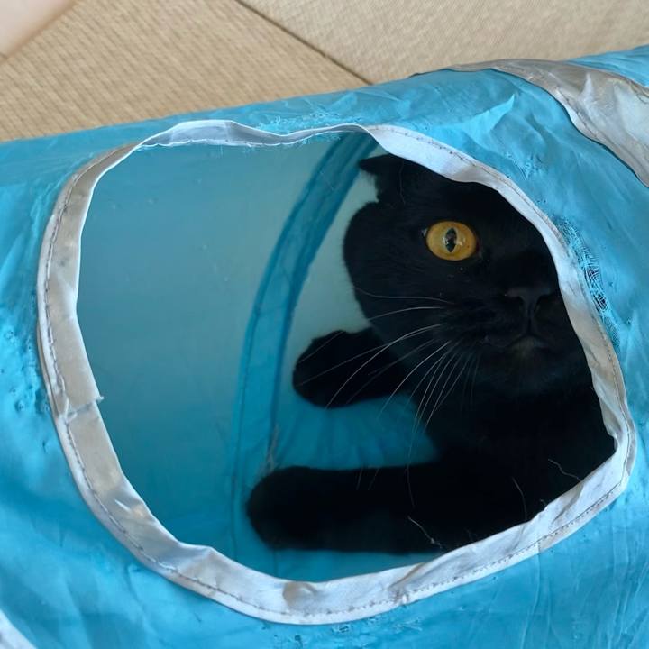 165b18e3 8c49 4002 91e9 42984ca399cc 1637280214204