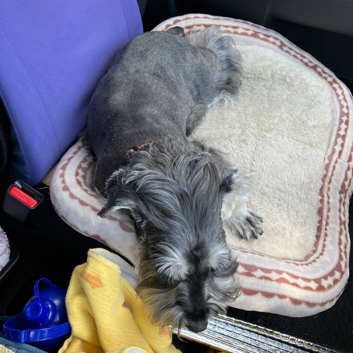 165bab92 22c3 45ef 9e9c 308acecfd7b5 1723094858731