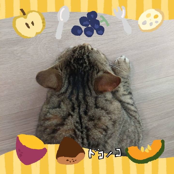 165bc953 8867 4ca9 9658 d21601ca7fc0 1726956301000