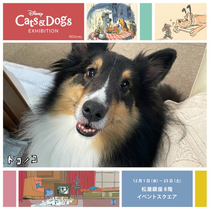 165bcf71 8305 4882 878d 1c5c3c219a64 1638396293613