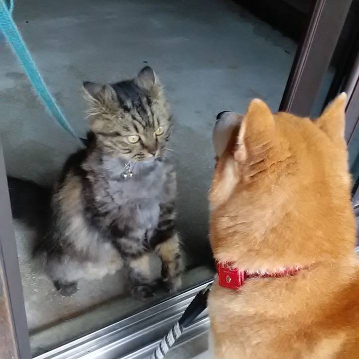 165c37f4 d058 4988 956d 538a29ae7fe3 1630047815914