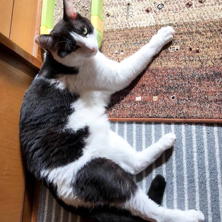 165c7873 232d 4543 bc7d 81cdf357b039 1529679367986