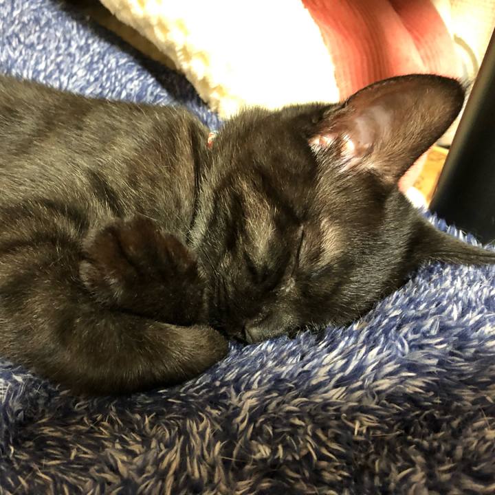 165c9402 fca5 4e7c aada 06367ea1fd3b 1614001160908