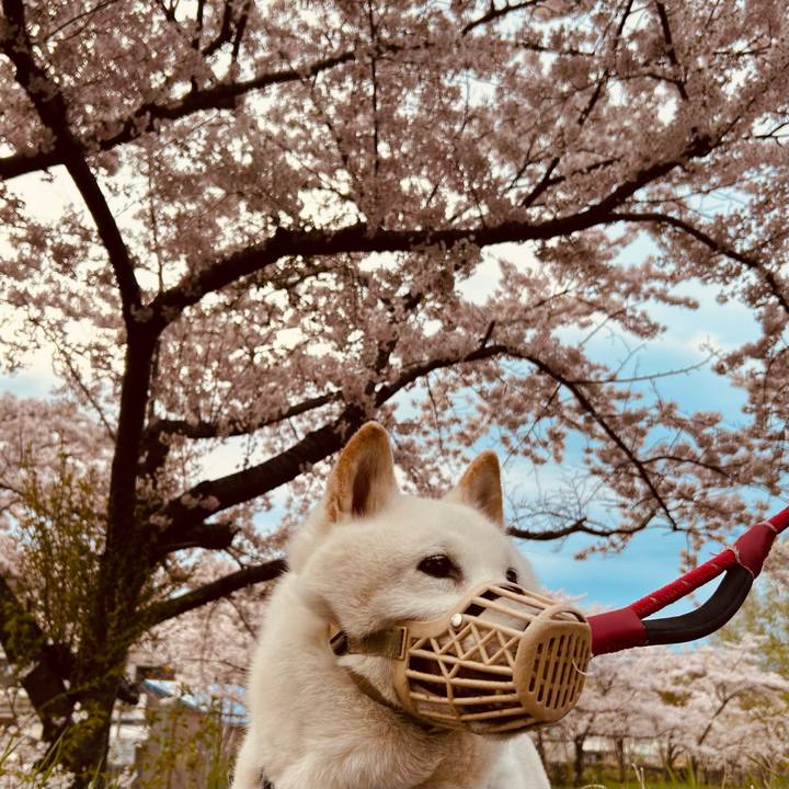 165cb6d7 d748 43d6 9018 ab5e940ebaa7 1746481660762