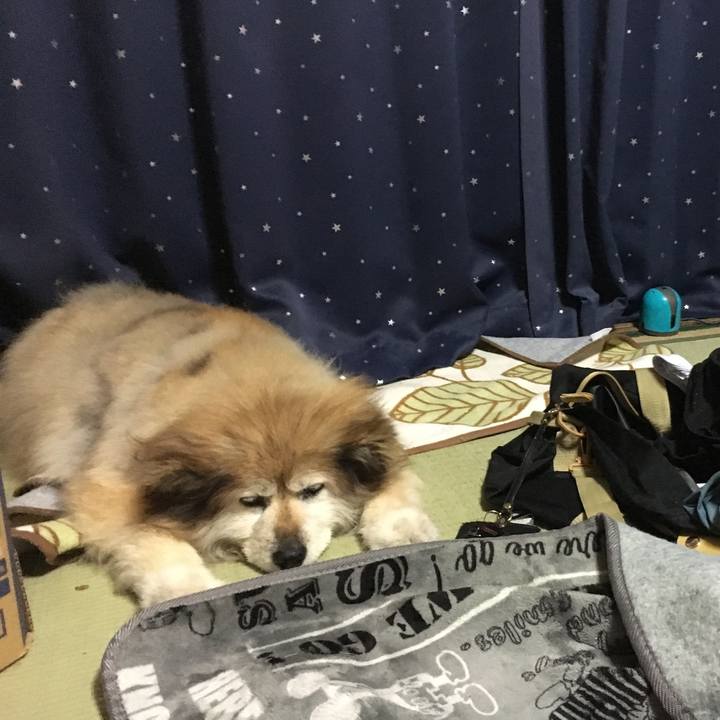 165cf3ac f299 4856 b12a 543b8d1c479e 1591290494736