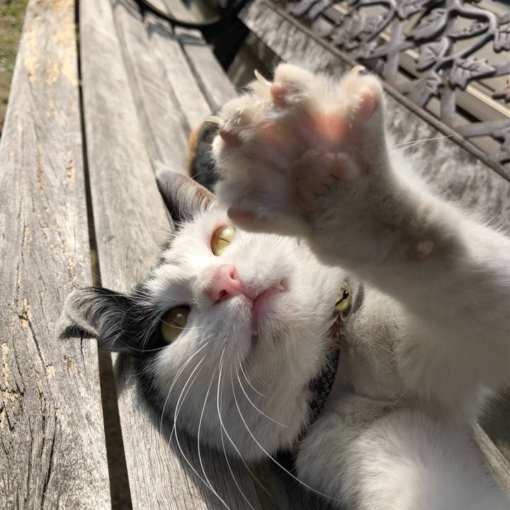 165d0ab0 6ef6 4cbf b912 21d0ced42e64 1614162093777