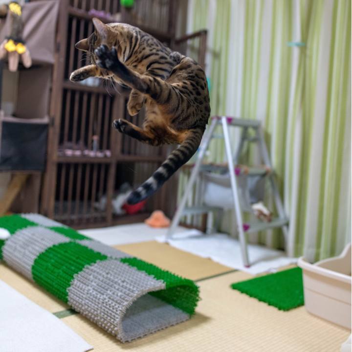 165d1c02 cdfe 41f3 908b a87cb59b5ef7 1517668354631