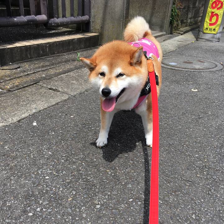 165d2c7e b1e8 46a1 ba47 509d6922ab90 1594521169689