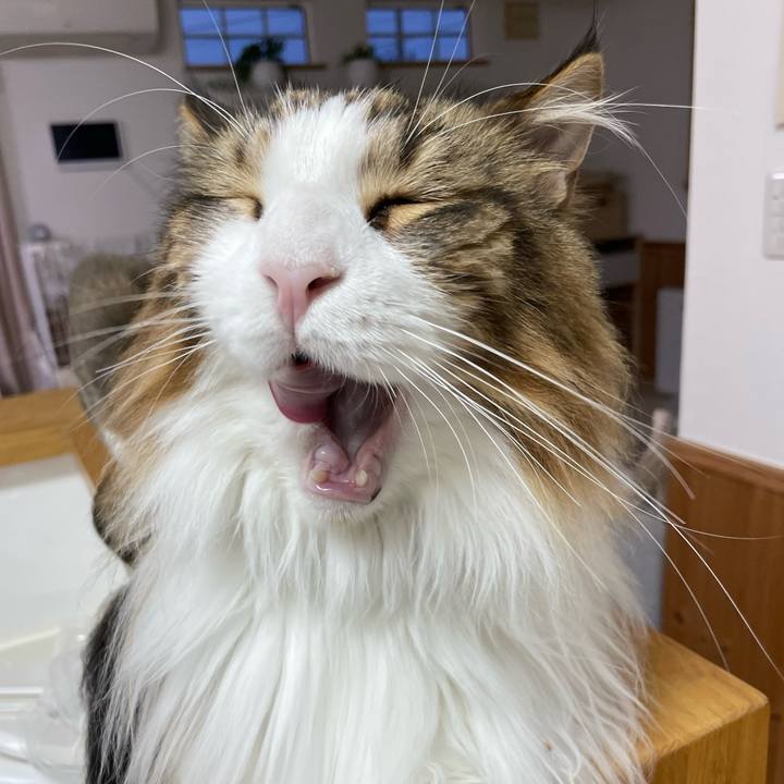 165d34f5 07c8 4f3a a557 cdd755a12bc4 1688067686648