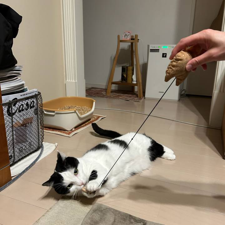 165d36e1 1358 4c20 bc31 a9ab52ab0875 1775083363013