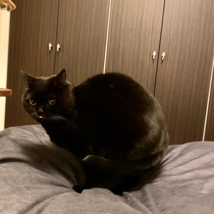 165d575c f20e 4256 a906 f4bac088a2c1 1707308052839