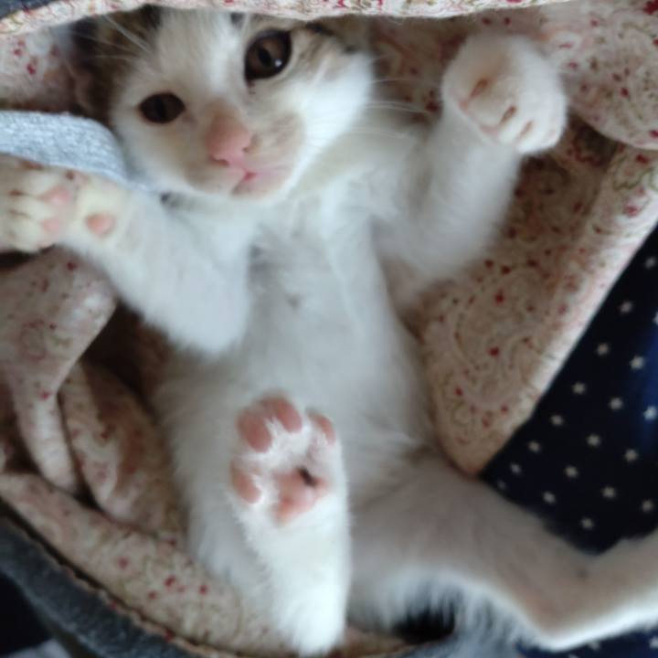 165d696a 863f 4065 a616 3e534d4402e0 1680338196654