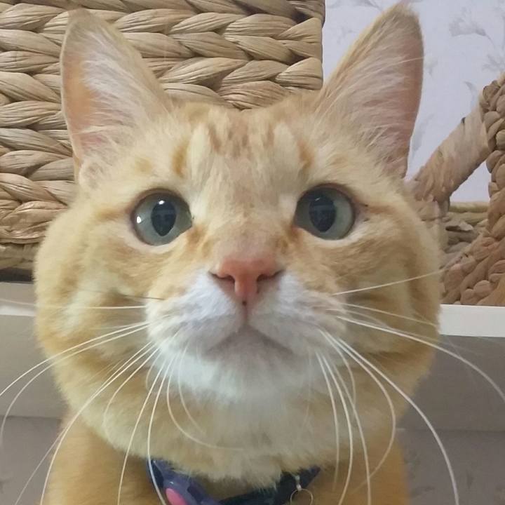 165dc976 85e8 48c2 a240 b8ae86448eca 1556377109954