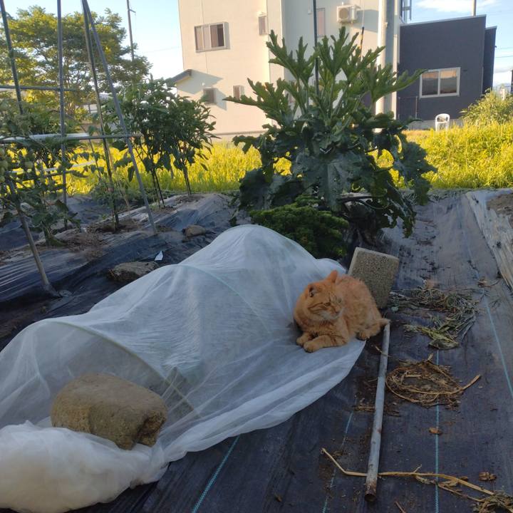 165dd251 45f1 4b69 a4eb 2d794f5af51e 1752442736433