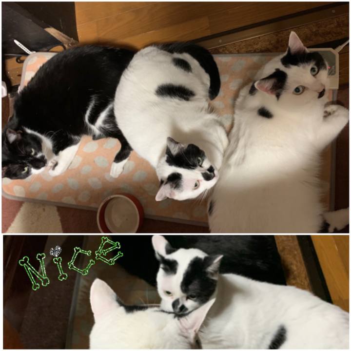 165ddb09 573d 44fb ae1a 495b910d00c6 1574031062310