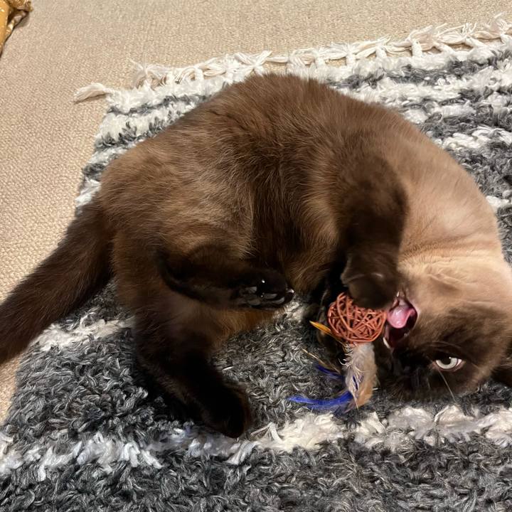 165de8d8 4c6a 4402 9c87 53abdc97996e 1676109728579