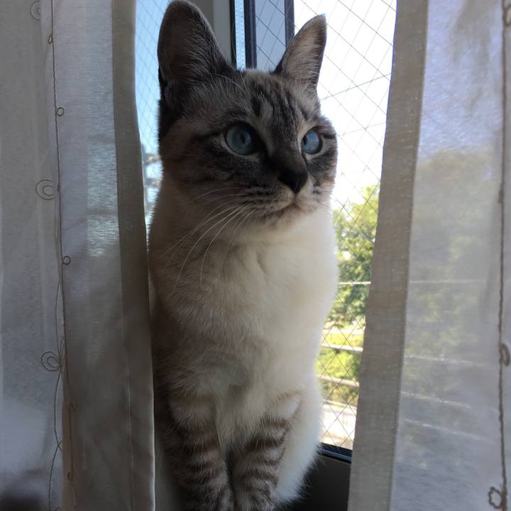 165e0f01 22a9 4960 9b6c 2f2f5fbf5aab 1557354169924