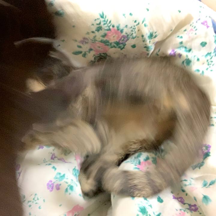 165e17f3 b49a 4f01 89f8 d6d3b2d6b020 1573555090016