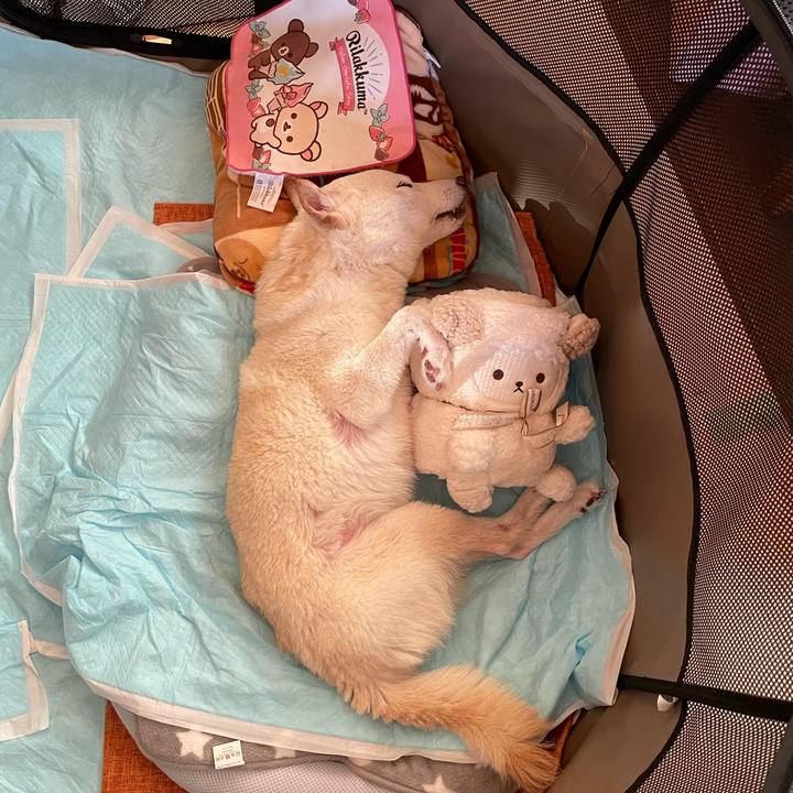 165e2578 3e89 4fe0 a5ac 071854ea2d47 1665701251867