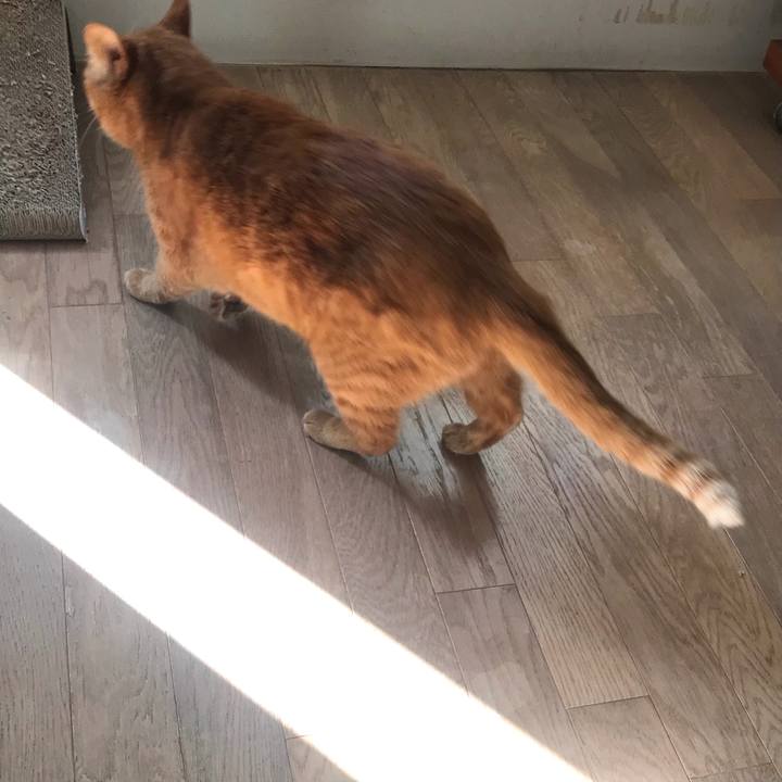 165e2981 67aa 4e59 b5d9 043b87df2368 1615859164785