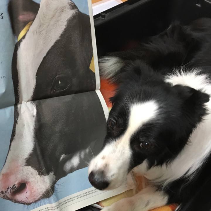 165e43f0 b71f 4c5b 9328 9996e4fe968d 1551255370514