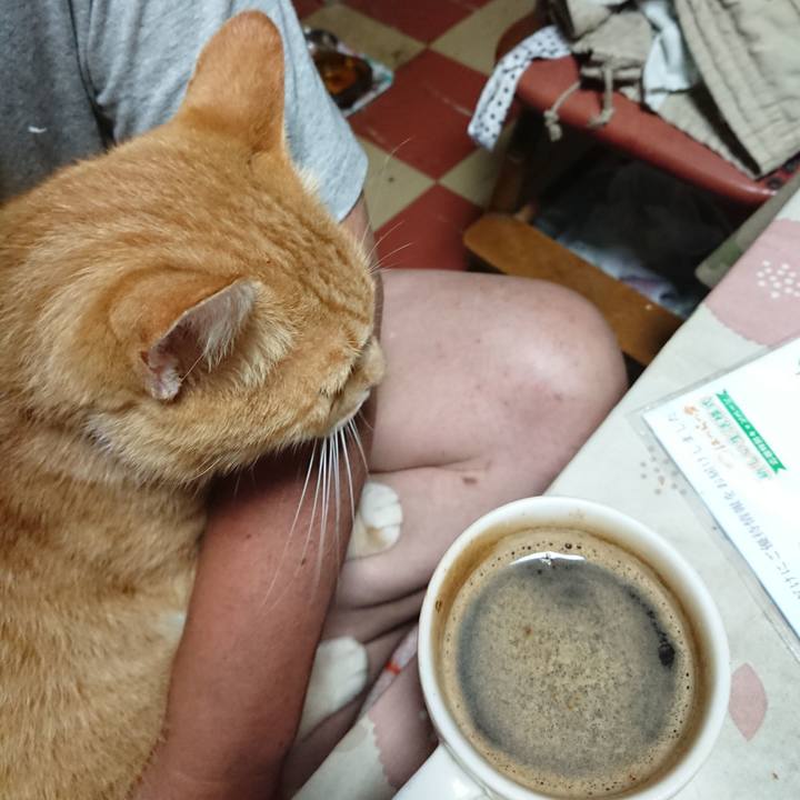 165e7af7 c1db 419a 88a3 b021c97348a9 1595707597758