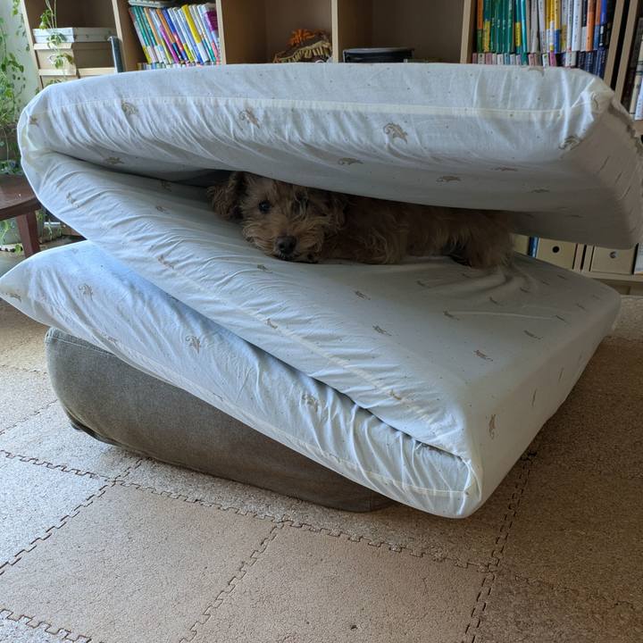 165e7d7f f05a 422a 848a b59a32c0ddad 1733013272776