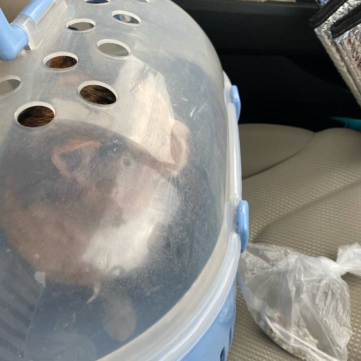 165e85ec 4732 4352 8dae 0cecdc6adb5d 1591853379495