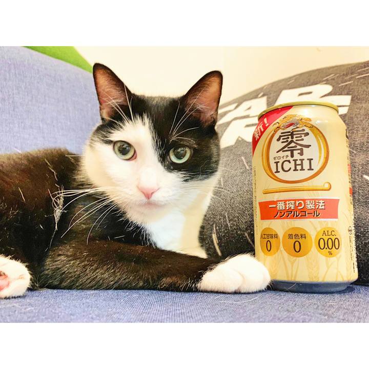 165e94a4 cfc3 4df2 b98e 562358c459ac 1564414413163