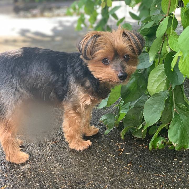 165eabc9 cea5 4759 9f23 46e45c3ac34b 1621809804600