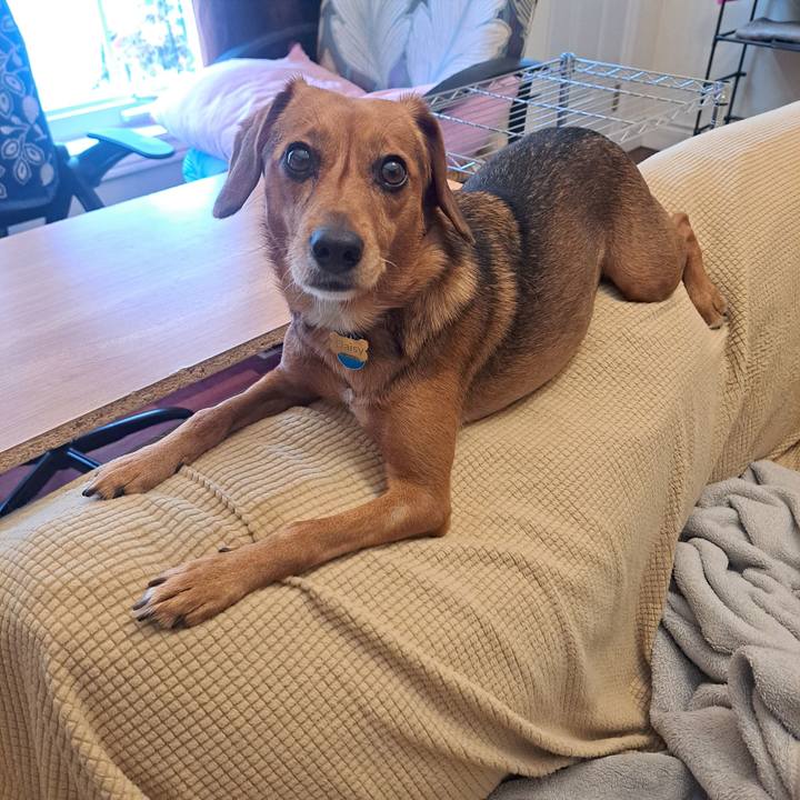 165eb38e d589 4dac b8c4 b94233e28ec9 1766183872119