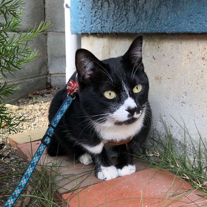 165ed782 aae1 41d1 bafb 3fa2e5c8a953 1543204004457